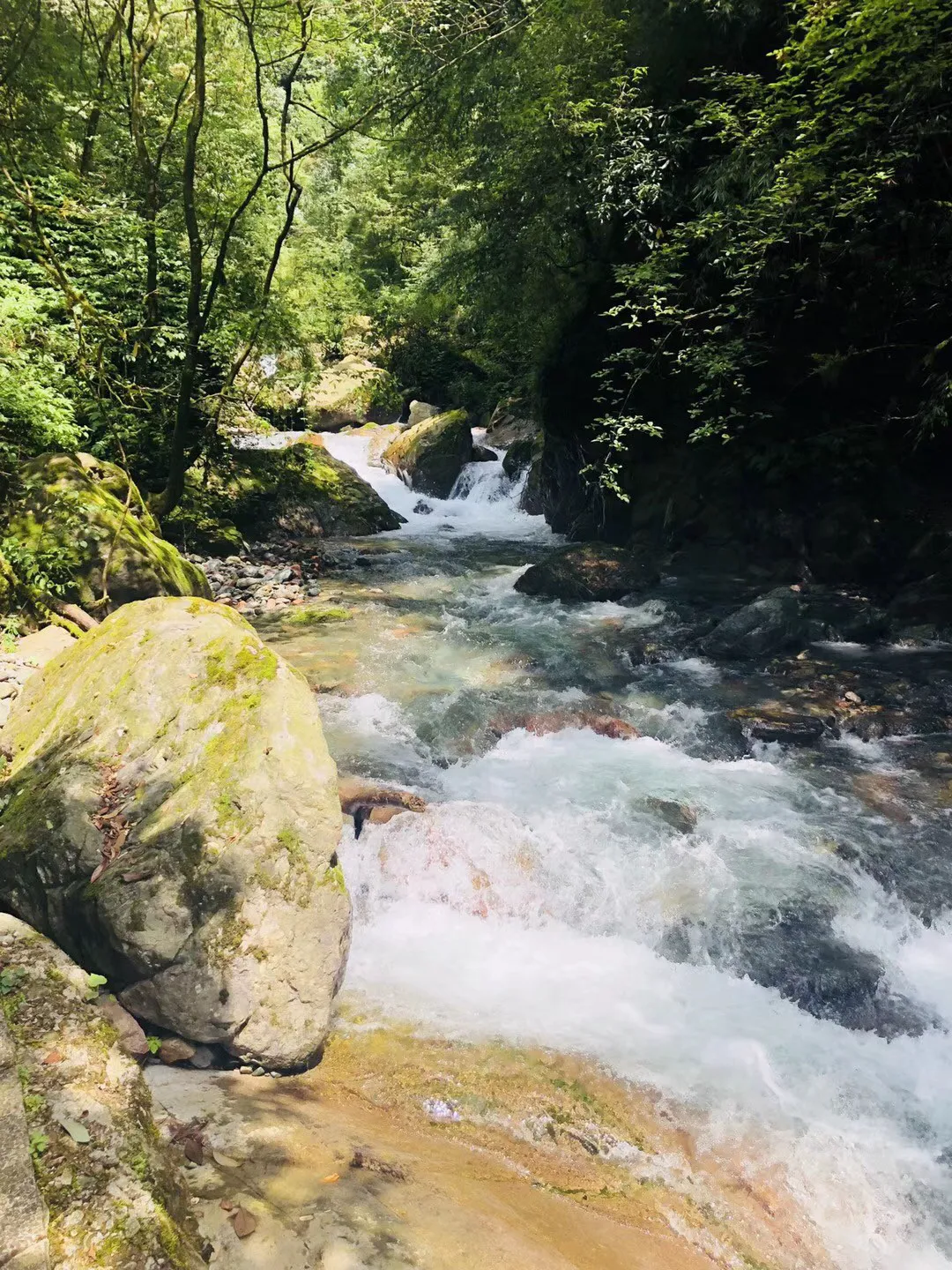 福龙马(603686.SH)中标天津市南开区环卫园林一体化项目 总金额27.57亿元